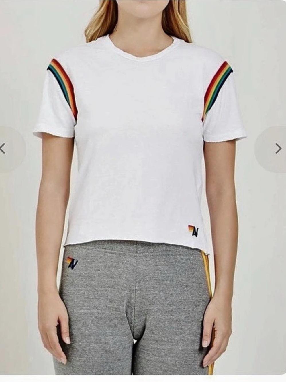 Aviator Nation Prism Boyfriend Tee 🌈